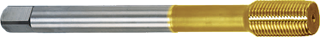 GWF. CM  8X1       -6HX