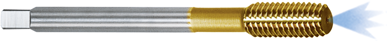 GWF. CM  5X0,8     -6GX -IKZ